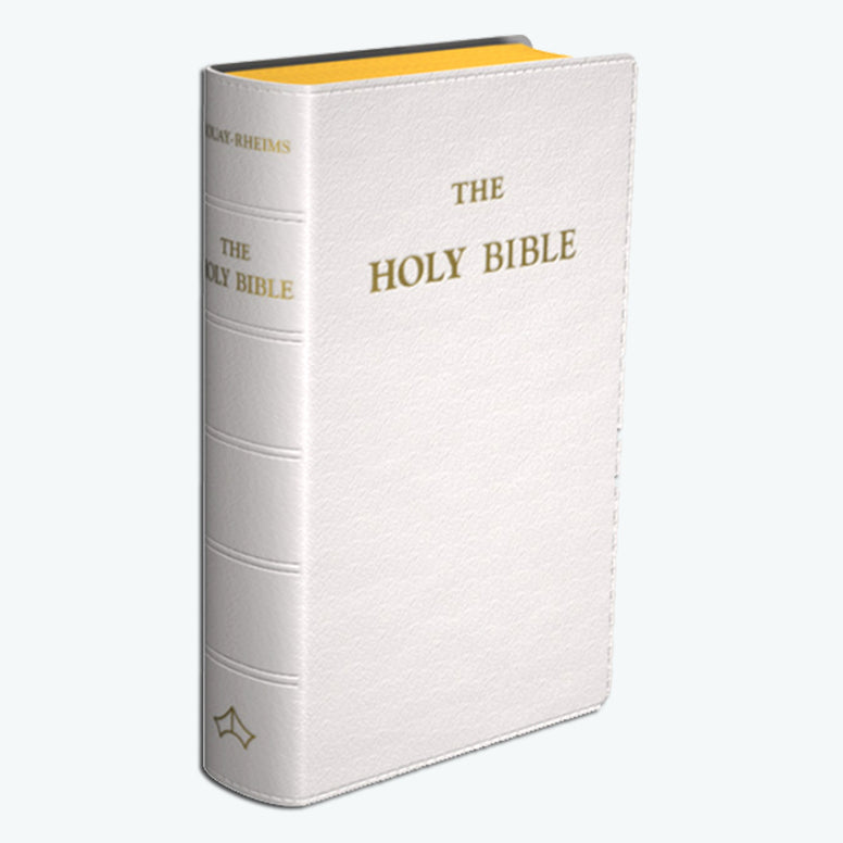 Pocket Bible