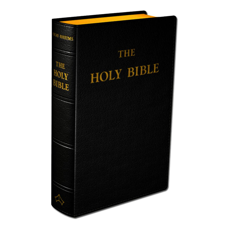 Bible: Large Print Black