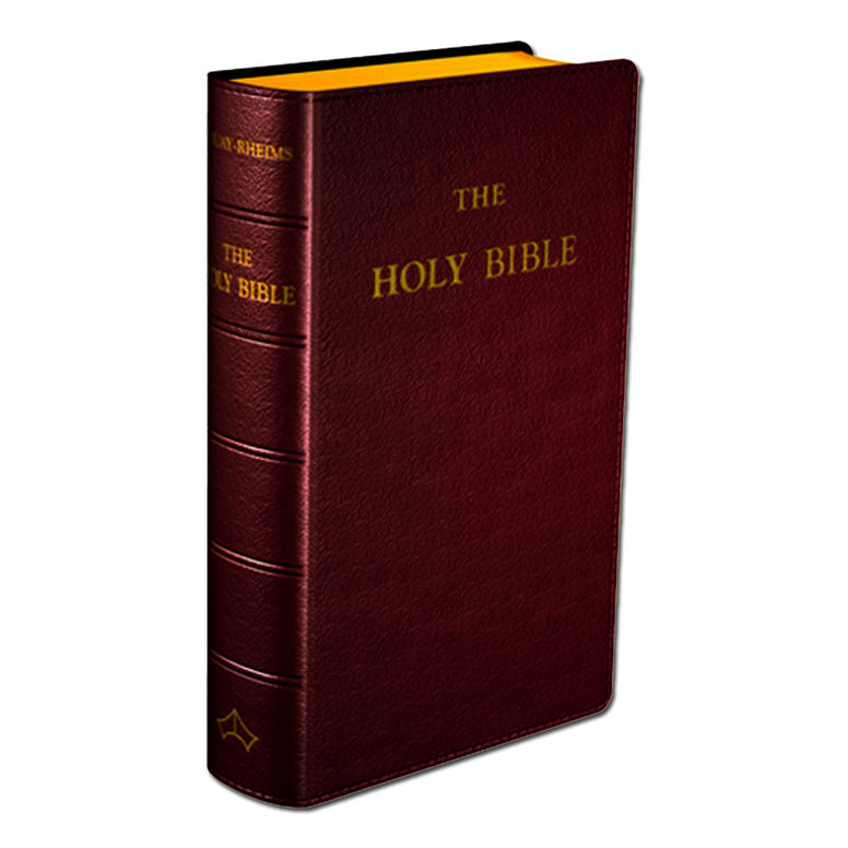 Bible: Burgundy Leather Pocket